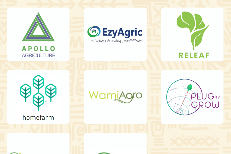 8 African Agtech b (2)